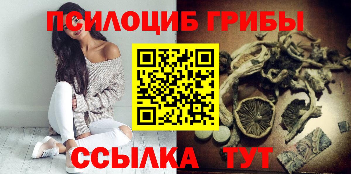Карачаевск  Псилоцибиновые грибы прущие грибы  Вход с VPN 